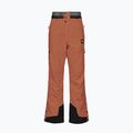 Picture Picture Object 20/20 Nutz men's ski trousers MPT114