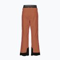 Picture Picture Object 20/20 Nutz men's ski trousers MPT114 2
