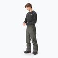 Men's Picture Object 20/20 ski trousers raven grey 2