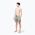 Men's Picture Journy 19'' green spray swim shorts 5