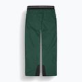 Men's Picture Object 20/15 ponderosa pine ski trousers 8