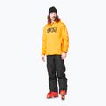 Men's Picture Park carrot ski sweatshirt 2