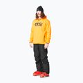 Men's Picture Park carrot ski sweatshirt 4