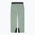 Men's Picture Object 20/15 shadow ski trousers 2