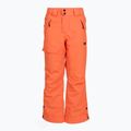 Children's ski trousers Picture Time 10/10 neon flare