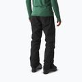 Men's ski trousers Picture Plan 10/10 black 3