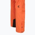 Men's ski trousers Picture Object 20/20 neon flare 12