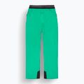 Women's ski trousers Picture Exa 20/20 emerald 11
