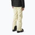 Women's ski trousers Picture Exa 20/20 wood ash 3