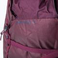 BLUE ICE Warthog Pack 40L trekking backpack maroon 100326 7