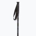 Elan Hotrod ski poles black 2