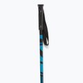 Elan Hotrod blue ski poles 2
