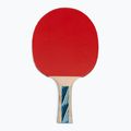 Donic-Schildkröt Legends 700 FSC table tennis racket 734417