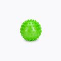 Schildkröt set of 2 Spiky Massage Balls grey 960054 3