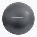 Schildkröt Gymnastic grey ball 960157 75 cm