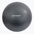 Schildkröt Gymnastic grey ball 960158 85 cm