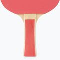 Donic-Schildkröt Appelgren 300 Table Tennis Set 788634 4