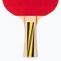 Donic-Schildkröt Top Team 500 Table Tennis Gift Set 788451 5