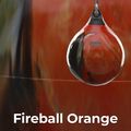 Speedball Aqua Training Bag Punching Bag 18" orange 4