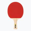 JOOLA Family Table Tennis Set 3