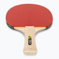 JOOLA Family Table Tennis Set 6