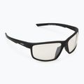 Alpina sunglasses