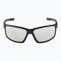 Alpina sunglasses 6
