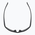 Alpina sunglasses 8