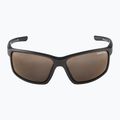 Alpina sunglasses 6