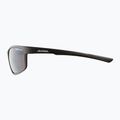 Alpina sunglasses 7