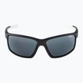 Alpina sunglasses 6