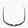 Alpina sunglasses 8