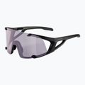 Alpina Hawkeye Q-Lite V black matt/purple sunglasses 5