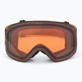 Alpina Ladis Q black/ gold matt/ gold ski goggles 2