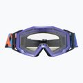 Alpina sunglasses 2