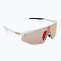 Alpina sunglasses
