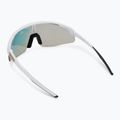 Alpina sunglasses 2