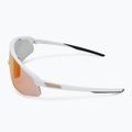 Alpina sunglasses 4