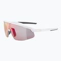 Alpina sunglasses 6