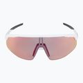 Alpina sunglasses 7