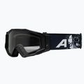 Alpina sunglasses