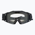 Alpina sunglasses 2