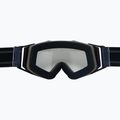 Alpina sunglasses 3