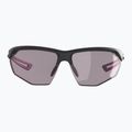 Sunglasses Alpina Nylos HR gun matt/pink 2