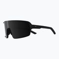 Sunglasses Alpina Lumin black matte/black 4
