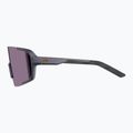 Sunglasses Alpina Lumin gun/metall matt/pink 5
