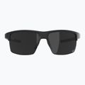 Sunglasses Alpina Eagle Q-Lite black matt/silver mirror 2