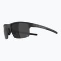 Sunglasses Alpina Eagle Q-Lite black matt/silver mirror 4