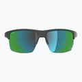 Sunglasses Alpina Eagle Q-Lite midnight/grey matt/green 2