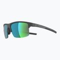 Sunglasses Alpina Eagle Q-Lite midnight/grey matt/green 3